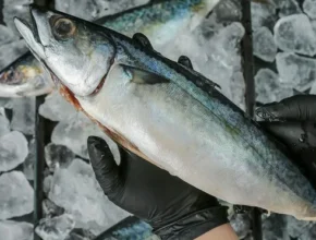 어머 이건 사야해!! 부산 반건조 고등어 500g x 7팩 총 14마리 3.5kg 적극추천