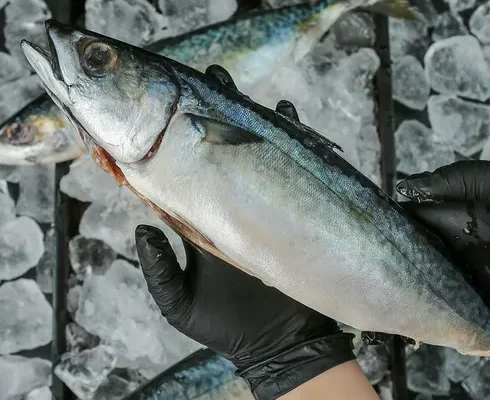 어머 이건 사야해!! 부산 반건조 고등어 500g x 7팩 총 14마리 3.5kg 적극추천