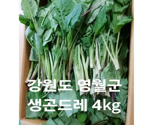 인플루언서들이 먼저 찾는 영월 곤드레 10팩간장소스 10팩(60g Top8추천