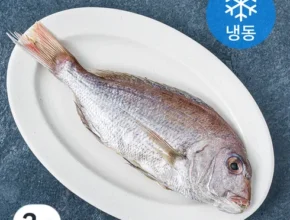 망설일수록 손해보는 국내산 반건조 참돔 300g7마리 리뷰