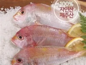 백화점에서 난리난 국내산 자연산 황돔 300g10팩 총 30마리 리뷰