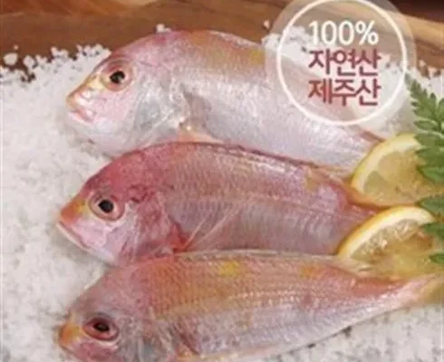 백화점에서 난리난 국내산 자연산 황돔 300g10팩 총 30마리 리뷰