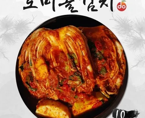 인플루언서들이 먼저 찾는 김선영 조리장 포기김치 10kg 리뷰