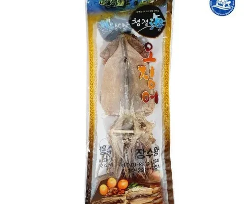 가성비 끝판왕 마른오징어 50g x 10마리 리뷰