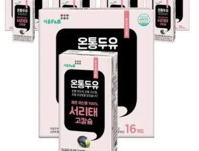 홈쇼핑에서 5분만에 품절된 맛있는家 온통두유 서리태통두유 99.8 190mL 80팩 Best8추천