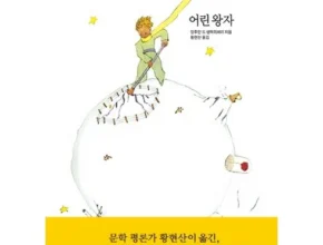 합리적인 당신을 위한 어린왕자책 리뷰