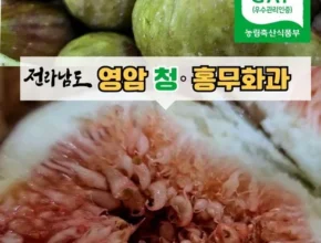 나만 보고 싶은 무화과 후기