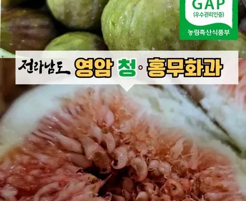 나만 보고 싶은 무화과 후기