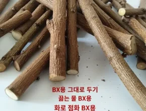 톱배우들도 쓴다는 복숭아나무가지 Best8추천