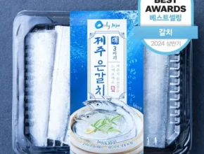 망설일수록 손해보는 제주 특대 은갈치 20토막 총5마리 후기