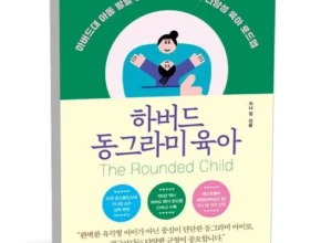 엄마들 사이에서 난리난 하버드동그라미육아 리뷰