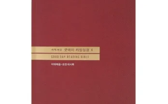 합리적인 당신을 위한 굿데이리딩성경 후기