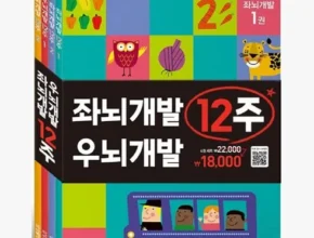 나만 보고 싶은 시지각워크북 후기