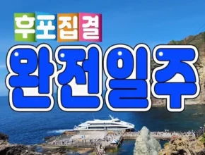 백화점에서 난리난 울릉도패키지 Best8추천