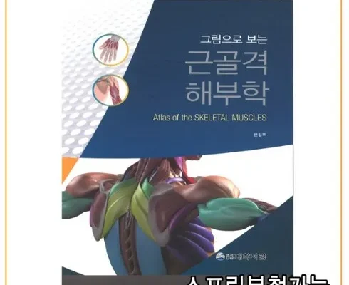 이게 가성비다 근골격해부학 적극추천