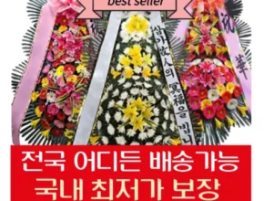 나만 빼고 다 아는 축하화환 Best8추천