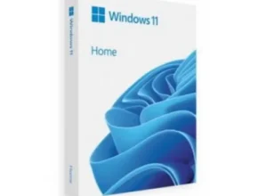 가성비 끝판왕 windows11home 후기