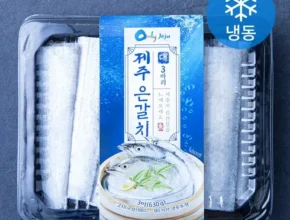 정말 놓치기 아까운 갈치 적극추천