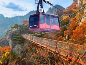 합리적인 당신을 위한 당일치기버스여행 리뷰