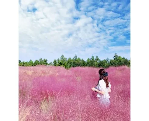 어머 이건 사야해!! 제주버스투어 리뷰